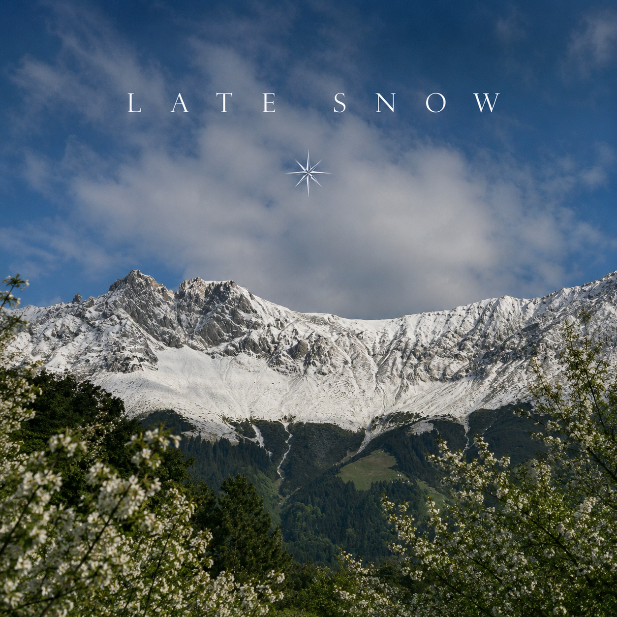 Late Snow cover art